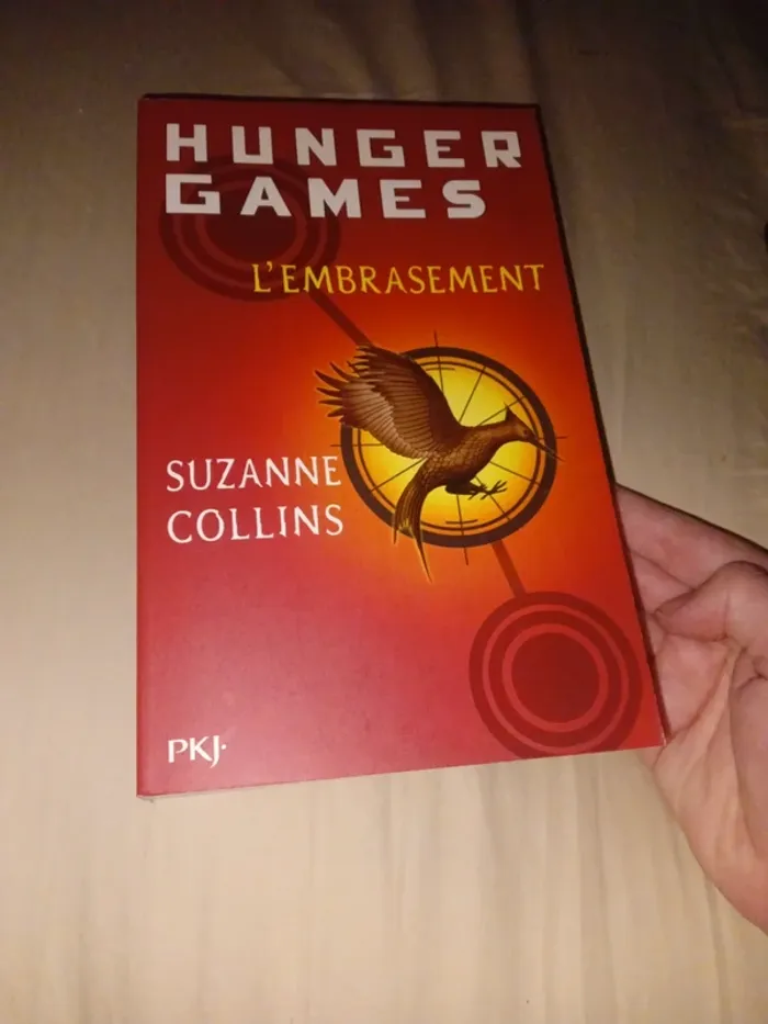 Hunger games grands formats - photo numéro 3