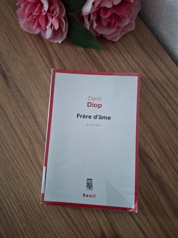 Livre: Frère d’âme- David Diop
