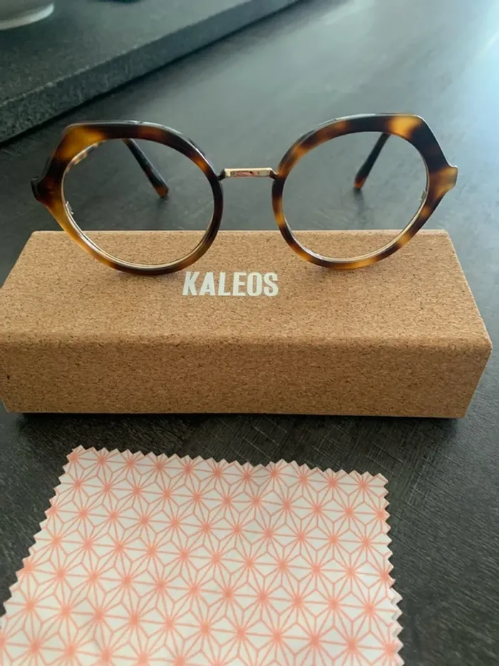 Monture Kaleos - photo numéro 3