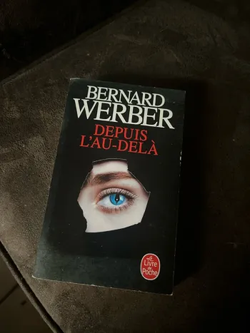 Depuis l’ai delà Bernard Werber