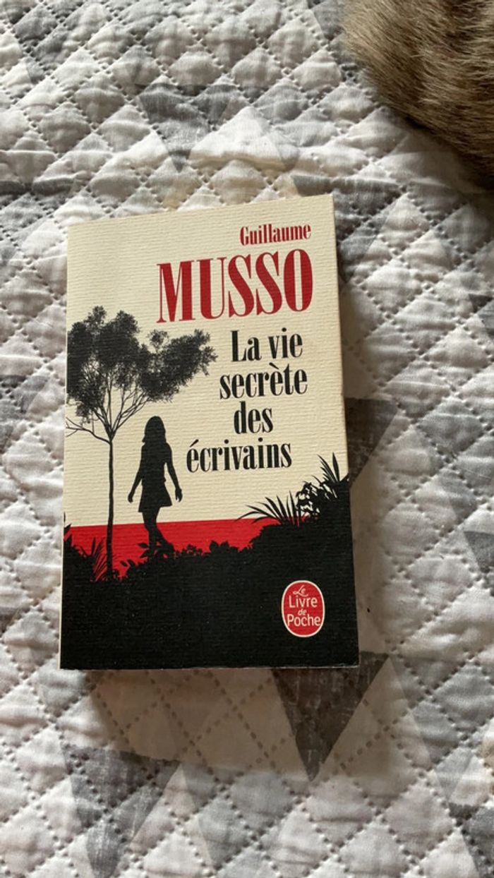#la vie secrète des écrivains Guillaume Musso ) - photo numéro 2
