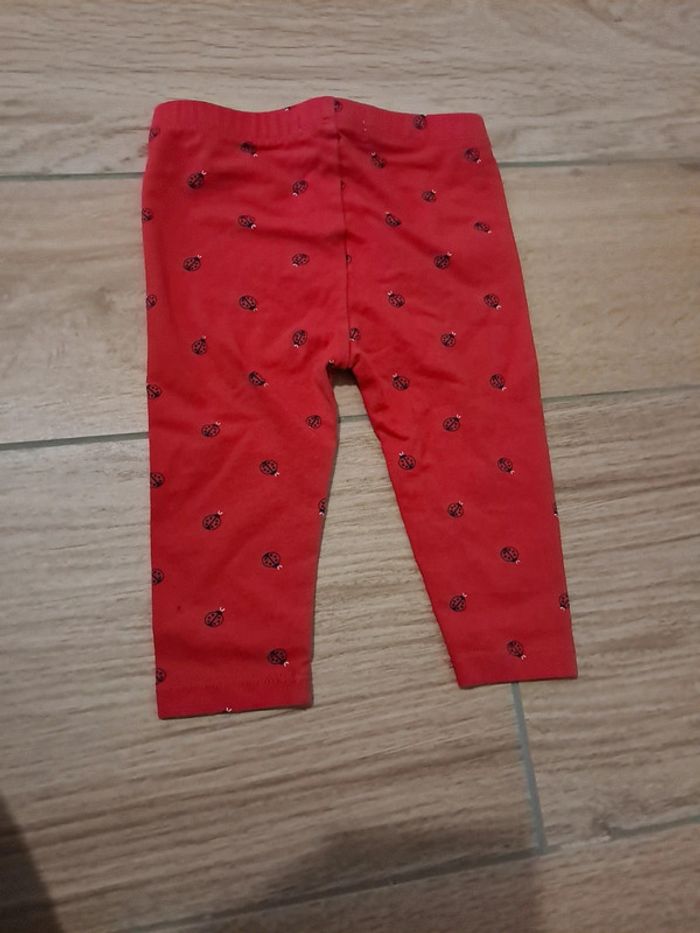 Legging gémo 12 mois - photo numéro 3