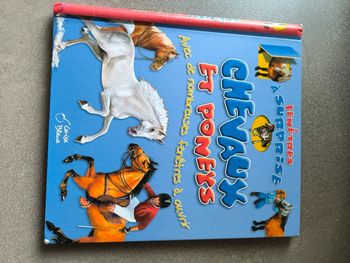 Livre chevaux et poney