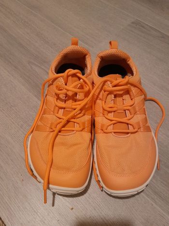 Saguaro forestep I neuves 40 barefoot