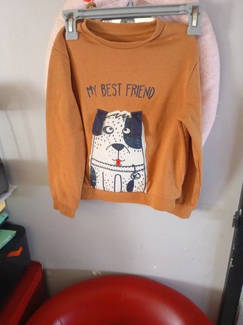 Pull chien garçon