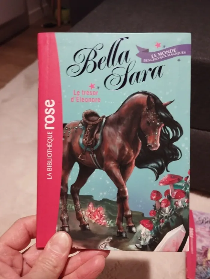 Lot de 4 livres Bella Sarah le monde des chevaux magiques bibliothèque Rose - photo numéro 9