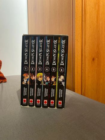 Collection Livre demon slayer