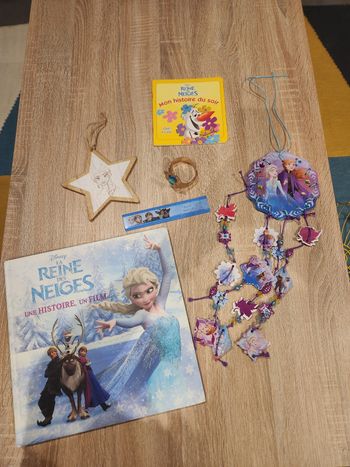 Livre reine des neiges