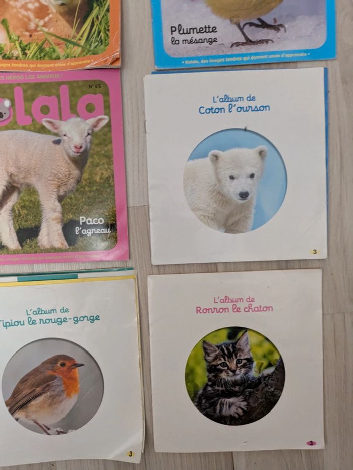 Lot de 12 magazines koala 1-4 ans et albums - photo numéro 5