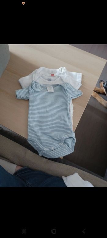 Lot de 3 Bodies manche courte