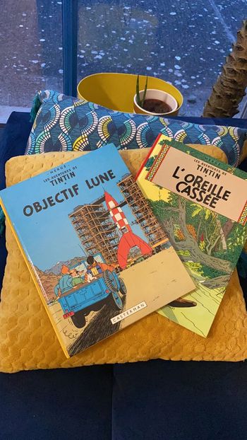 Lot de 2 livres collector tintin