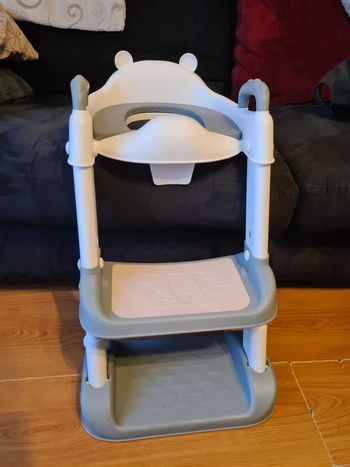 Réducteur de toilette avec marches
