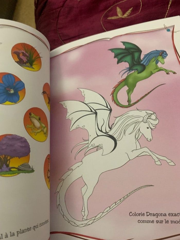 Livre activité et coloriage sur les chevaux
