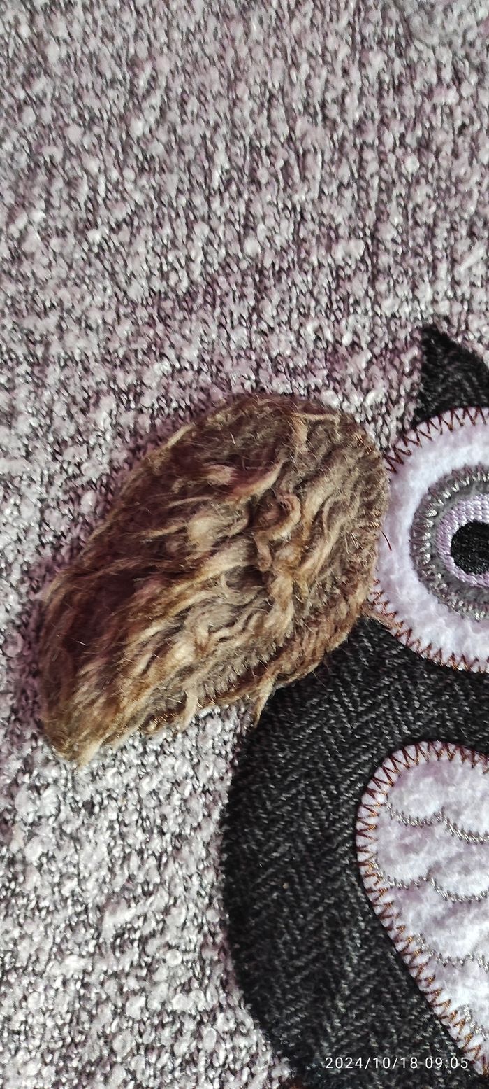 Pull chaud Tissaia 14 ans - photo numéro 8