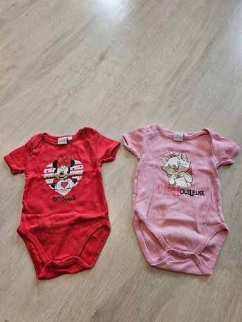 Lot de 2 bodys manches courtes 