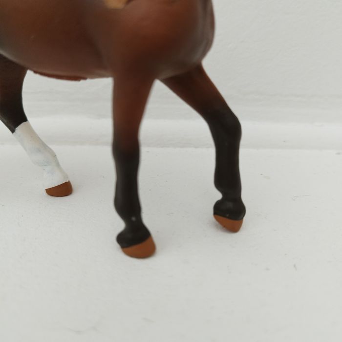 Jument paso péruvien - photo numéro 3