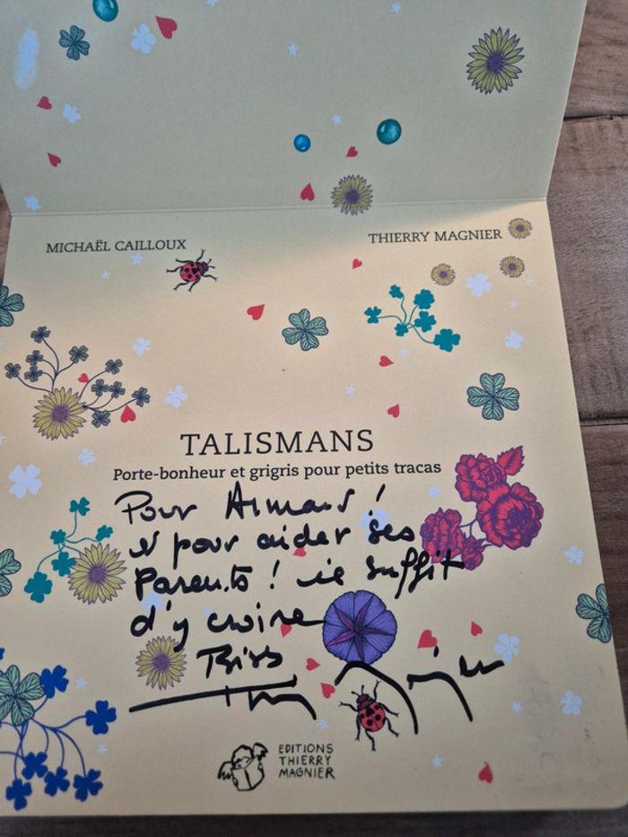 Livre cartonné Talismans Michaël Cailloux - photo numéro 2