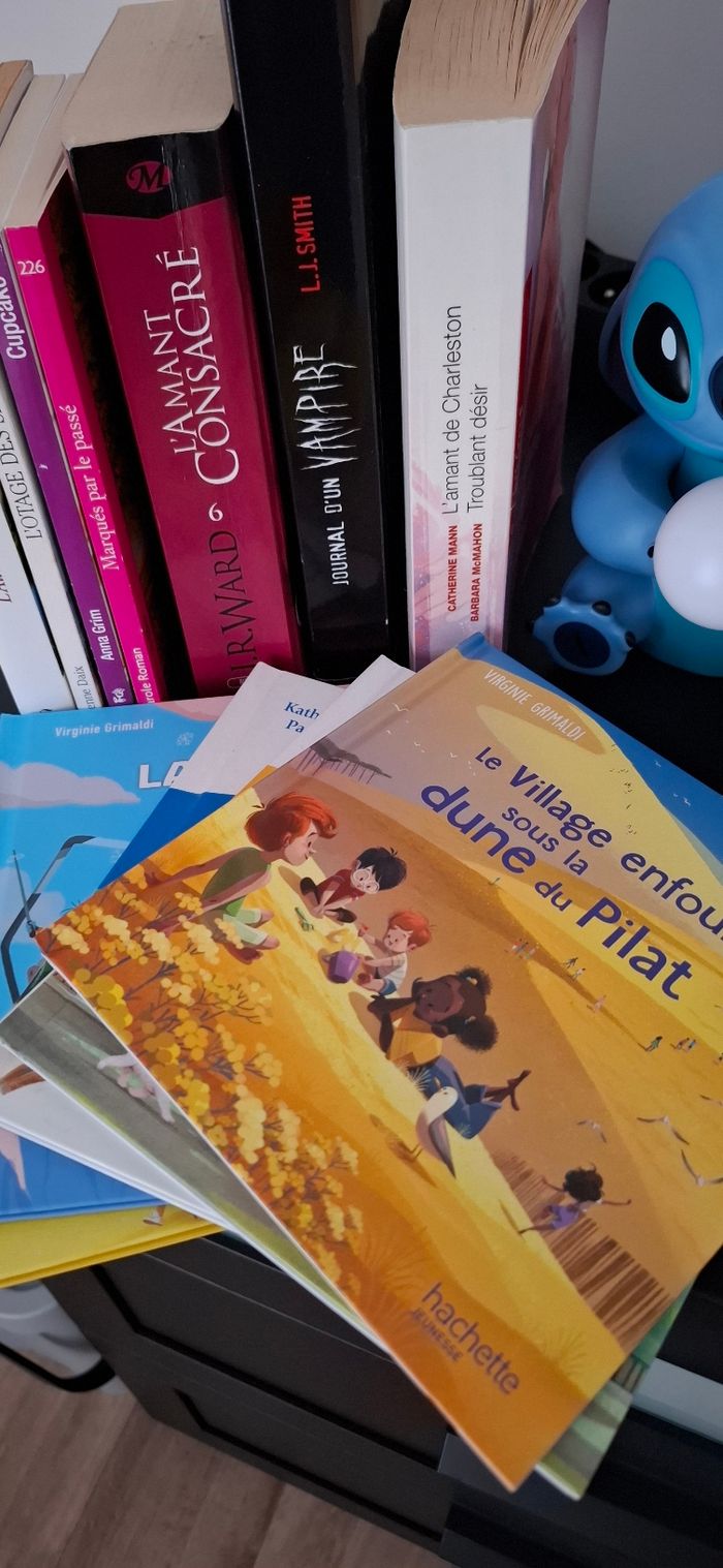 Livres - photo numéro 3