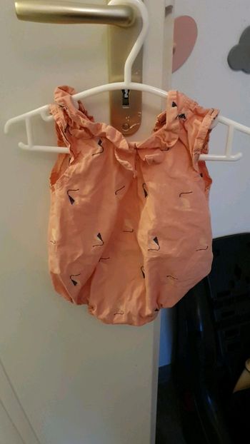 Barboteuse sergent major