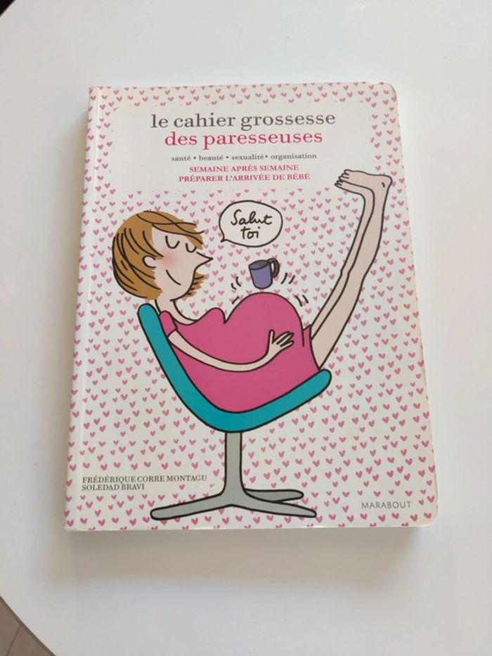 Le cahier grossesse des paresseuses - photo numéro 2
