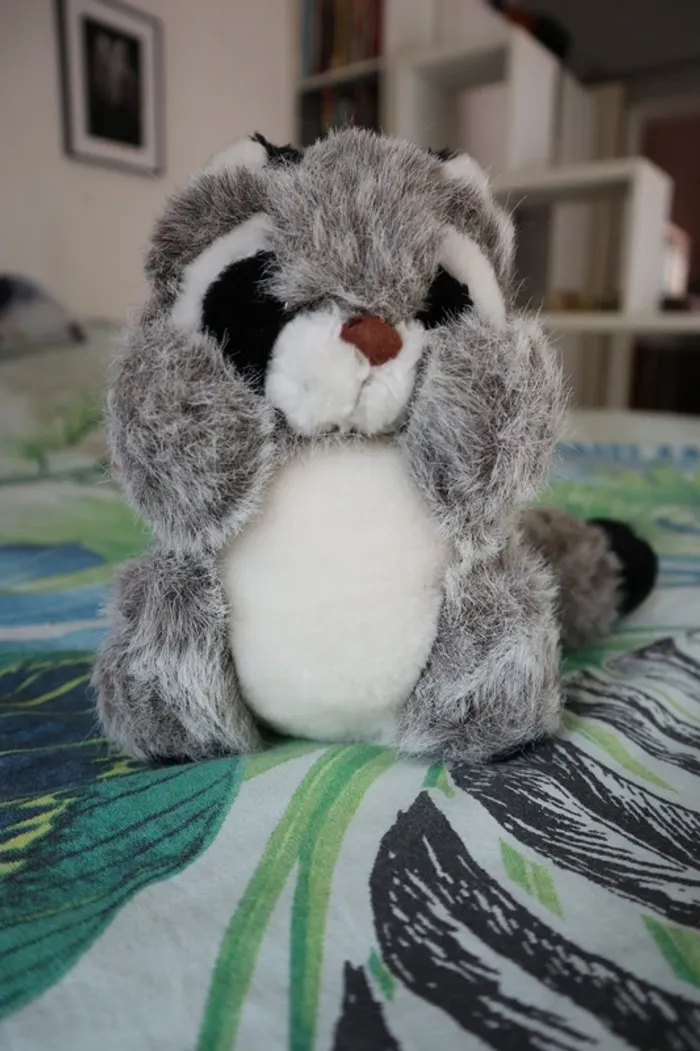 Peluche raton laveur