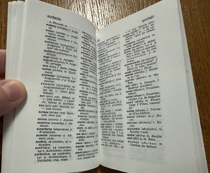 Mini dictionnaire français/espagnol - photo numéro 2