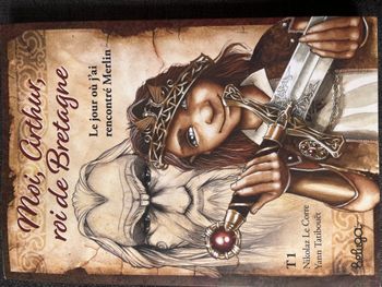 Livre moi arthur roi de bretagne tome 1, le jour ou j'ai rencontre merlin