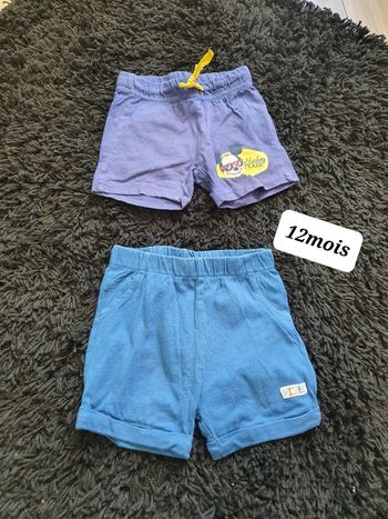 Lot 2 short
