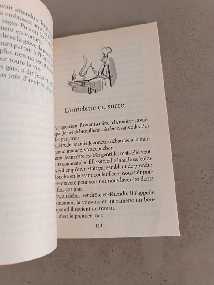 Jean-Philippe Arrou-vignod l'omelette au sucre Folio junior - photo numéro 4