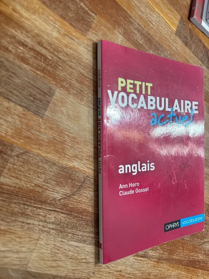 Livre petit vocabulaire actuel anglais - photo numéro 2