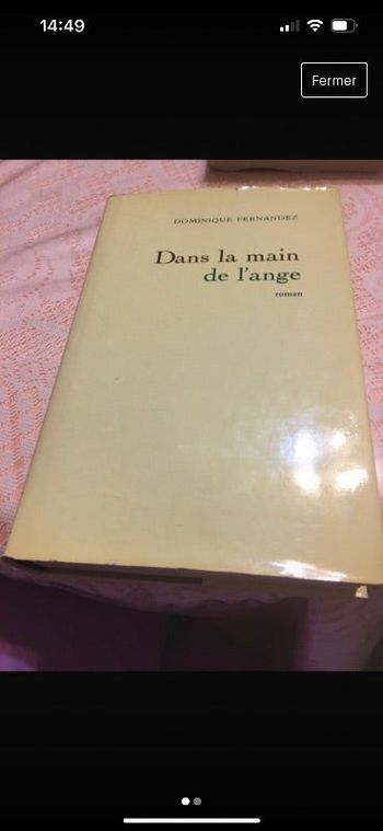 Livre « Dans la main de l’ange «