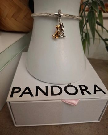 Charm chien et sa maîtresse 