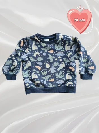 Pull sweat garçon 23 mois
