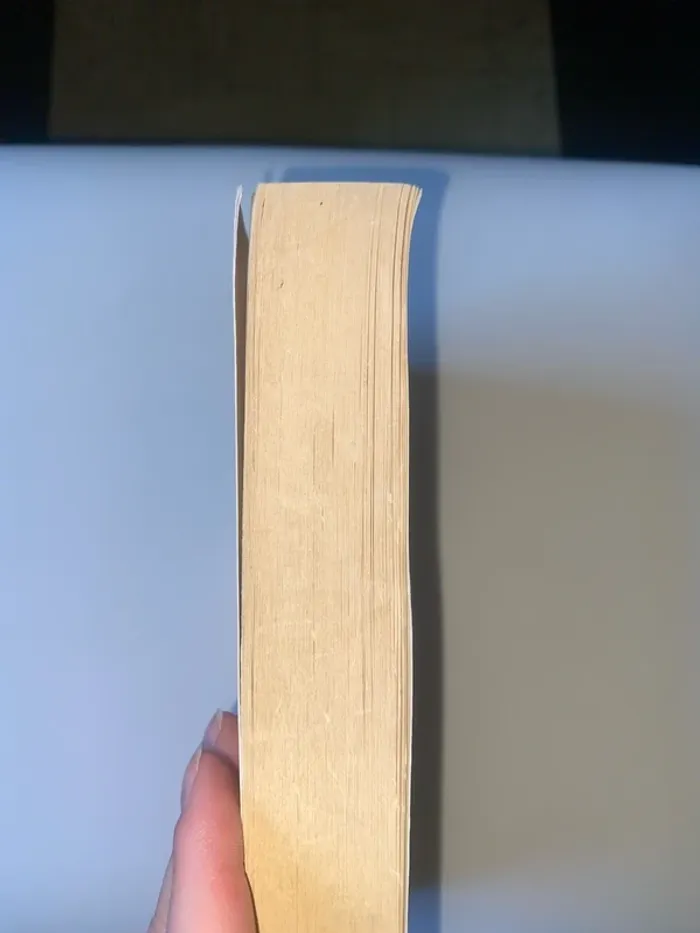 Le seigneur des anneaux - photo numéro 2