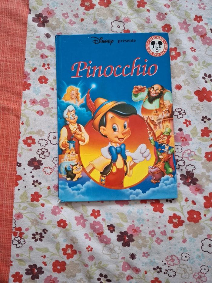 Lot de livres Disney club - photo numéro 5