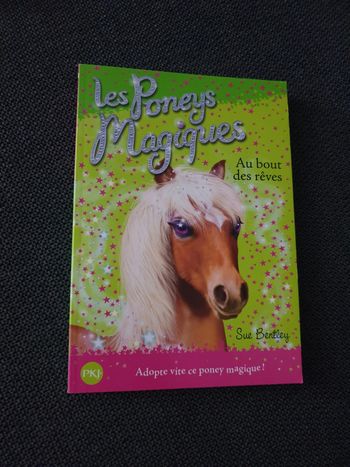 Livre Les poneys magiques tome 4 Au bout des rêves