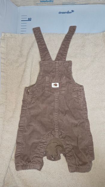 Salopette hérisson 56cm 0-1M C&A 