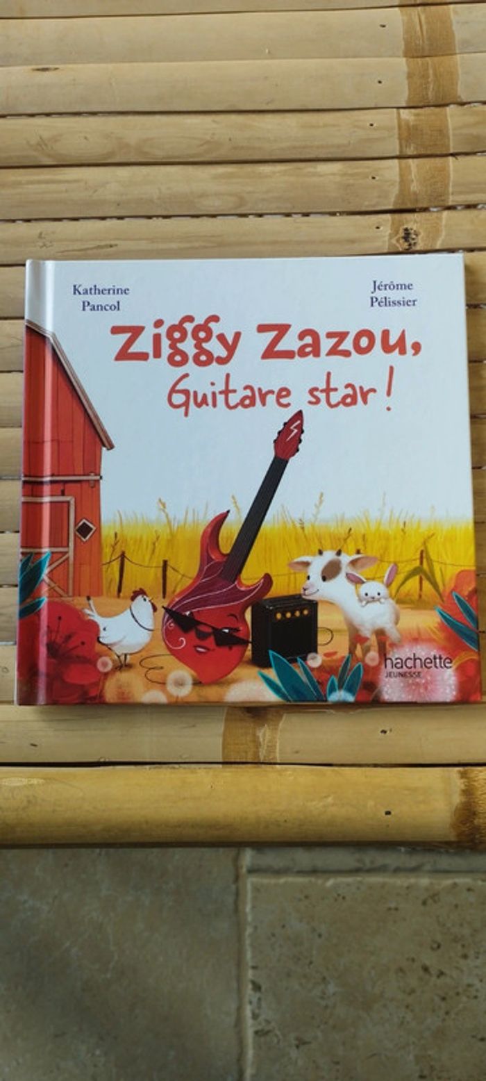 Livre Ziggy Zazou, guitare star