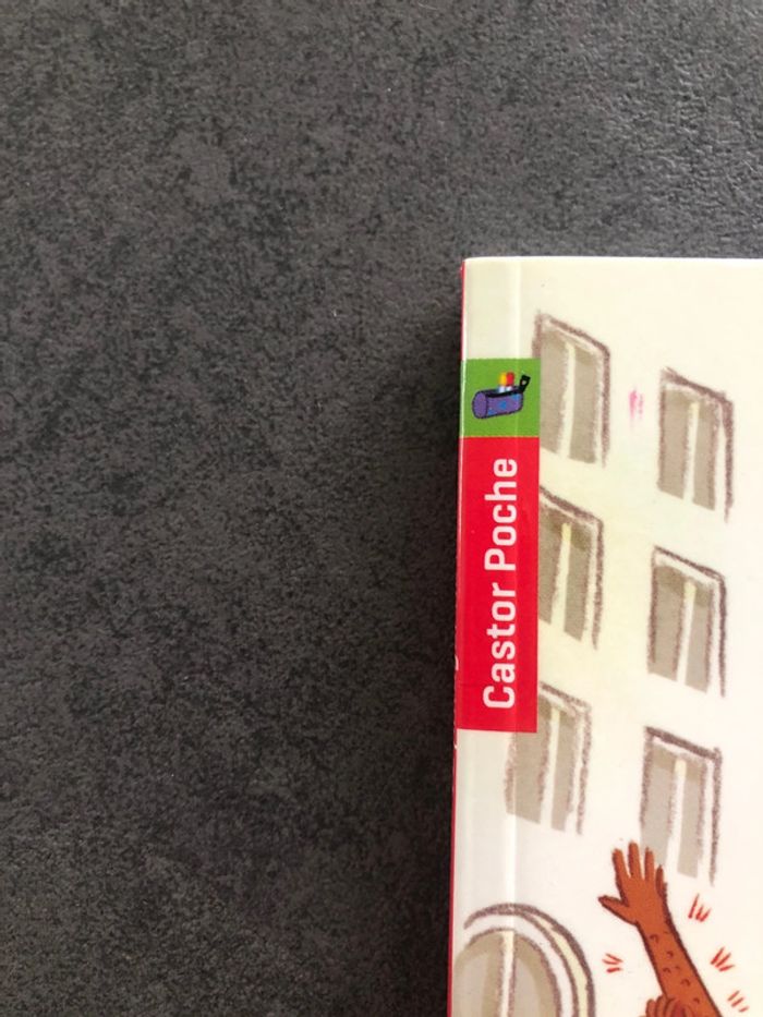 Livres CE1 - photo numéro 9