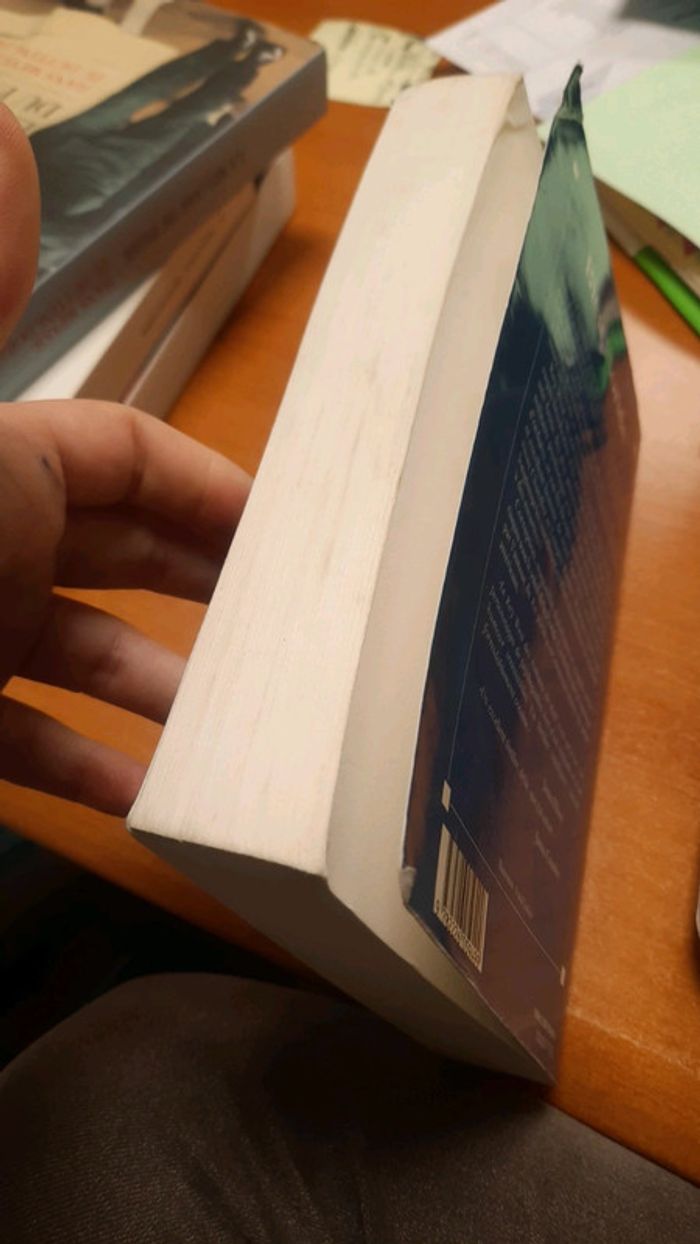 Livre bleu floridd - photo numéro 4