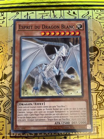 Carte Yu-Gi-Oh! : Esprit du dragon blanc - LDK2-FRK02
