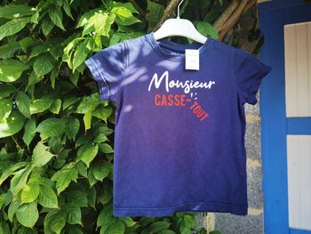 D1242/3 T-shirt garçon 4 ans