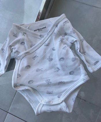 Bodie les animaux de la forêt