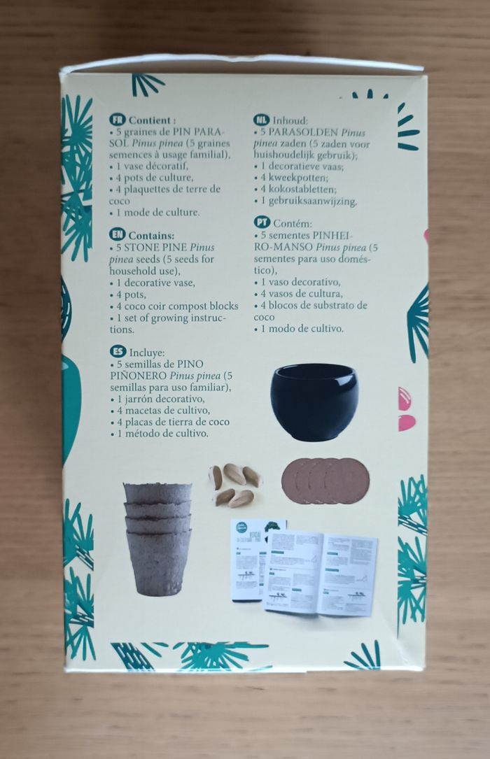 NEUF : Kit bonsaï à faire pousser Nature & Découverte - photo numéro 3