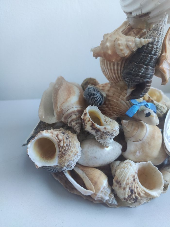 Composition en coquillage Catalogne - photo numéro 3