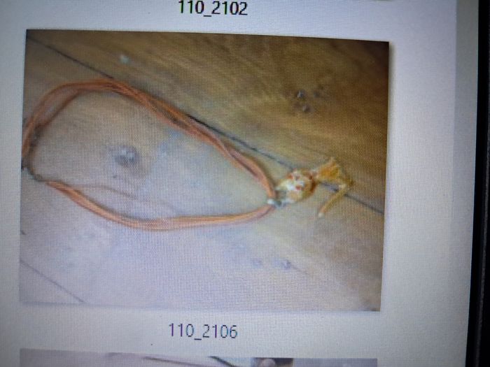 Boucles d'oreilles - photo numéro 2