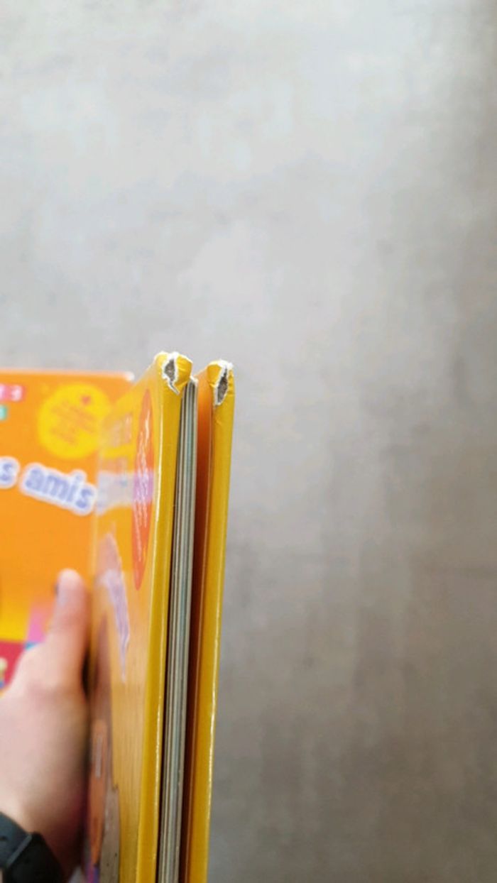 Livres imagier dora l exploratrice - photo numéro 5