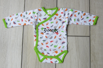 Bodie neuf theme dinosaures