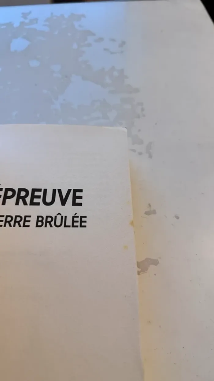 📚 Lot 2 livres – L’Épreuve de James Dashner Tome 1 : Le Labyrinthe Tome 2 : La Terre Brûlée - photo numéro 14