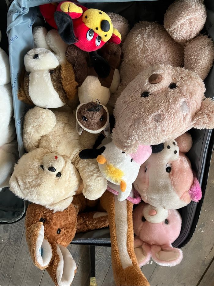 Lot peluches - photo numéro 3